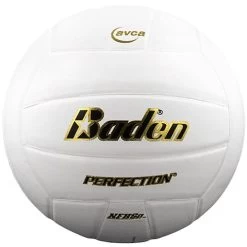 BSN Baden Perfection Leather Volleyball