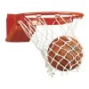 BSN Bison Elite Breakaway Goal -Ball Sports Equipment bb 5111xxxx a X
