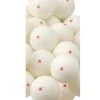 BSN Recreational 1-Star Ping Pong Balls - Box Of 144