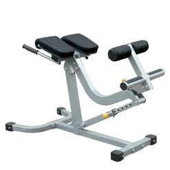 BSN Champion Barbell® Back/Abdominal Exercise Bench