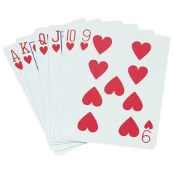 BSN Standard Playing Card Decks (12-Pack)